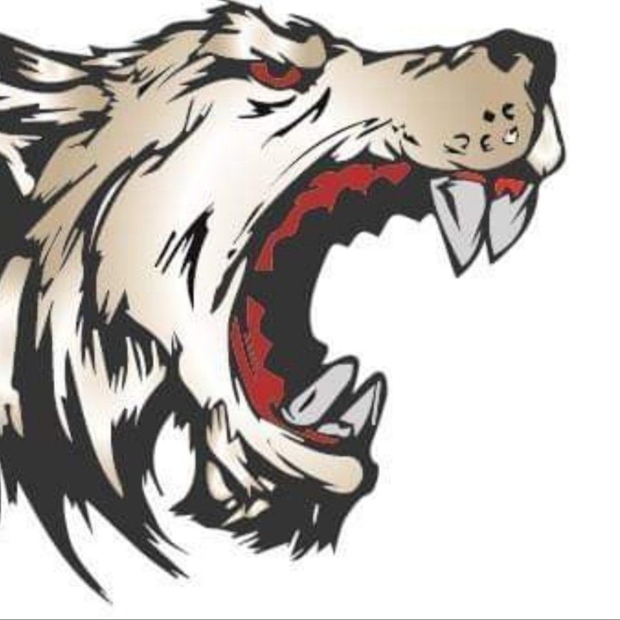 EC Sellraintal Wolves